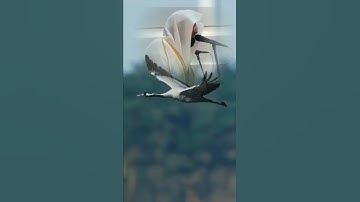 وبشر الصابرين تلاوة بديعة الشيخ ناصر القطامي