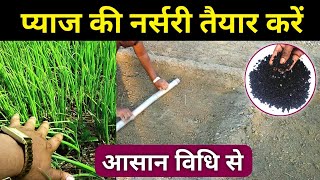 पयज क नरसर तयर करन क आसन वध A To Z जनकर Pyaj Ki Nursery Kaise Taiyar Kare Onion