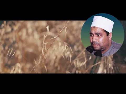 الشيخ محمد الليثي سورة المائدة