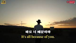 HYB - How Could You Leave  (Korean lyrics)  (English commentary)
