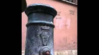 video1.mov: 2011-04-22 Vatican Walls