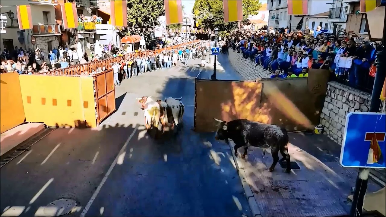 Encierros lunes 11 de septiembre 2017