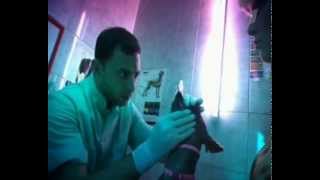 Краткий Курс Счастливой Жизни. Рома Зверь (2012) Краткий Курс Счастливой Жизни. Рома Зверь (2012)
