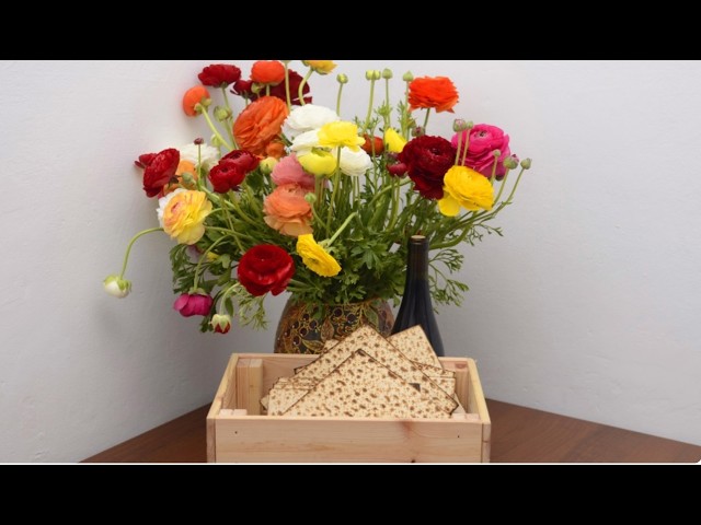 Watch Nirtza: Night Songs of the Seder || Tamar Weissman on YouTube.