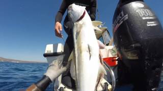 MannySub  roller spearguns