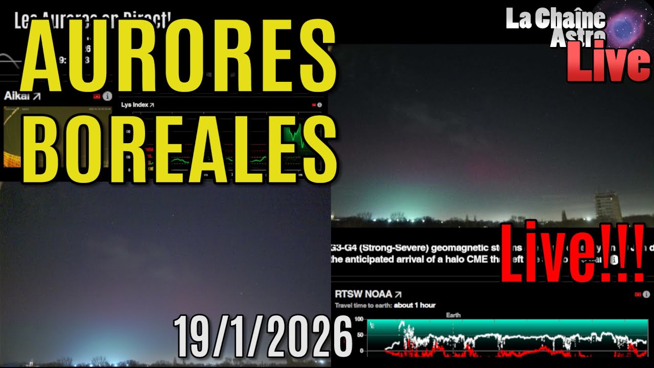 AURORES BOREALES en LIVE! 19jan26!!!