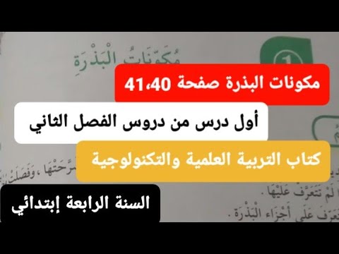 مكونات البذرة صفحة 41 40 من كتاب التربية العلمية للسنة الرابعة إبتدائي