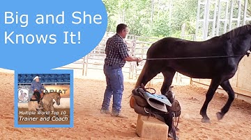 Pair if Big Buddy Sour Percherons