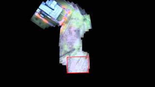 Real-time Construction and Visualization of Video Mosaic from a UAV