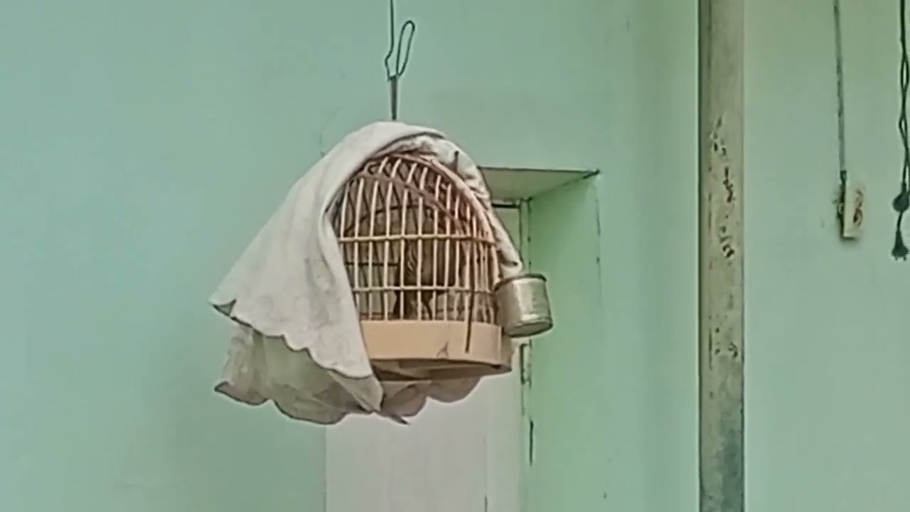 Модкабки Помир 1100 сомонӣ тел: +992208981010