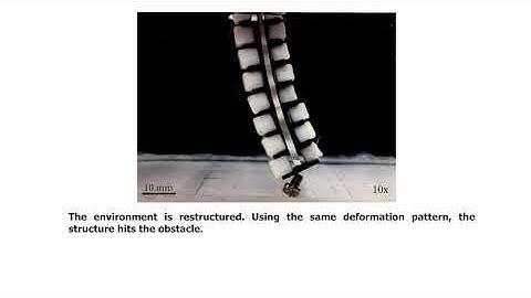 Hyper-redundant Soft Miniature Robotic Manipulator Using Temperature-responsive Hydrogels.