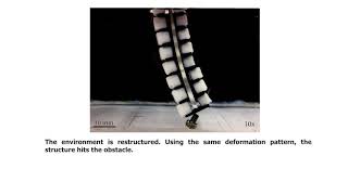 Hyper-redundant Soft Miniature Robotic Manipulator Using Temperature-responsive Hydrogels. screenshot 3