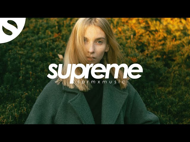 AstroFox & Dogmeow - Summertime Sadness