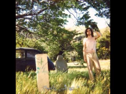 ariel-pinks-haunted-graffiti-until-the-night-dies-acidific