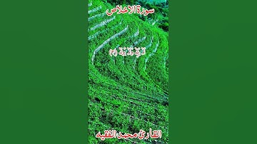 #اكسبلور  سورة الاخلاص قُلْ هُوَ اللَّهُ أَحَدٌ (١) اللَّهُ الصَّمَدُ (٢)