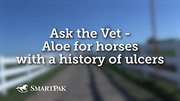 Is aloe vera gel safe for horses?