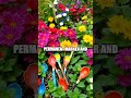 Crafting Colorful Upcycled Garden Markers
