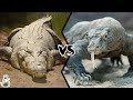 CROCODILE VS KOMODO DRAGON - Which is the strongest?