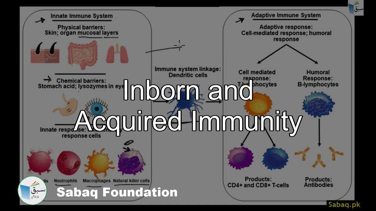 Inborn and acquired immunity, Biology Lecture | Sabaq.pk - YouTube
