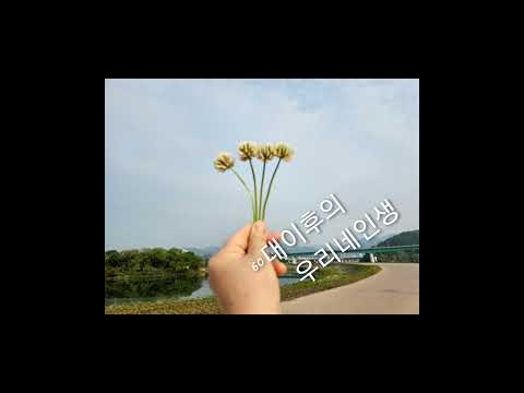 #60대이후의우리네인생