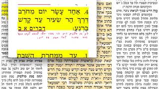 מנחות סה 65 ראשון ה׳ חשון תשע״ט הדף היומי - דף יומי מנחות