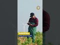 CLAVES DEL ECOSISTEMA EN LA VALUACIÓN AGROPECUARIA