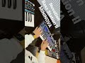 Novation BassStation II and MININOVA