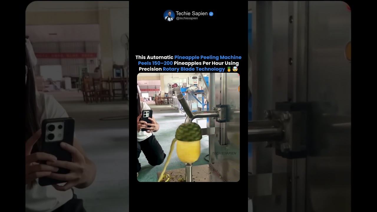 Pineapple Peeling Machine Removes Fruit Skin In Seconds 🍍⚙️🤯