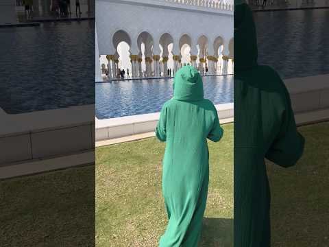 Dubai Mosque 🕌 #shorts #dubai
