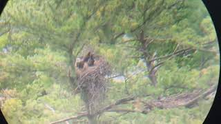 T6 and T7 with a Parent on 5/21/26.  Video by Larry Adams