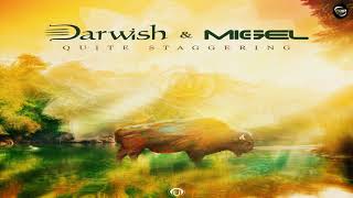 Darwish & Migel - In To Space