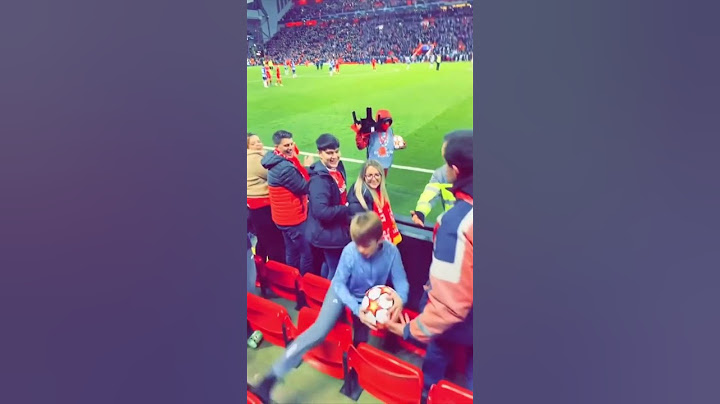 Soccer Fans Are Hilarious!