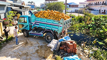 First Started A New Project!! LANDFILL Delete Deep Pond By Skill Dozer D21A Pushing Soil Into Water
