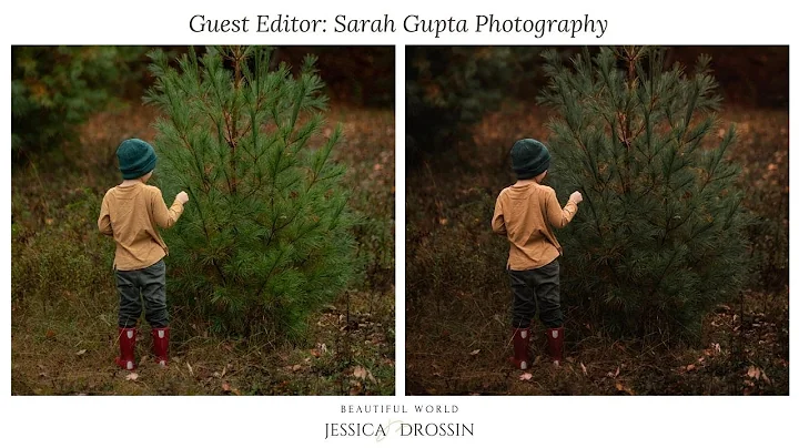 Guest Artist Sarah Gupta Fine Art Tutorial Video (...