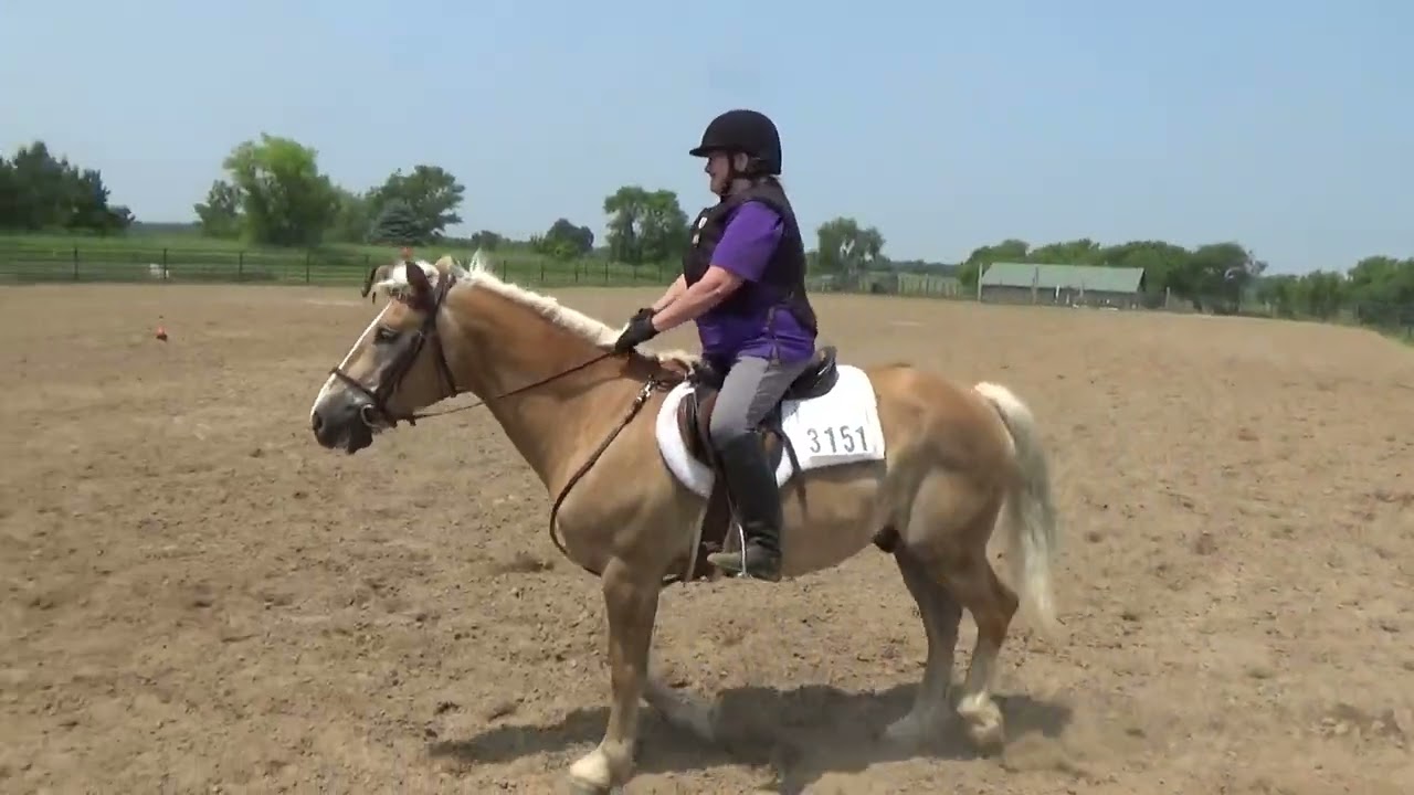 Sr Sr  & Sr WT English EQ Fox River Saddle Club 6.17.23