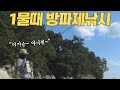 물때 안본 방파제 감성돔 낚시 / 한식과 일식 / 통영 (작은)척포방파제