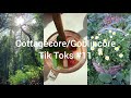 Cottagecore Goblincore Tik Toks #11