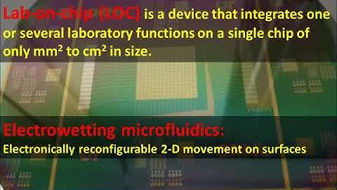 Active matrix TFT array for electrowetting