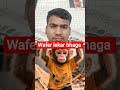 #monkey #funny #cute #comedy #humanity #shortfilm #emotional #petlover #success #monkeyvideo
