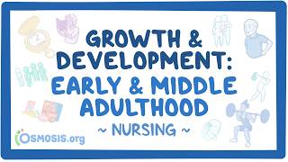 Growth and development - Early and middle adulthood: Nursing