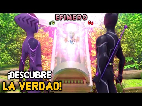 Video: Efemera Va Efemeroidlar