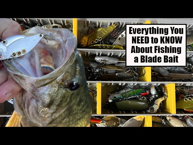 Everything You NEED to KNOW About Fishing a Blade Bait 
