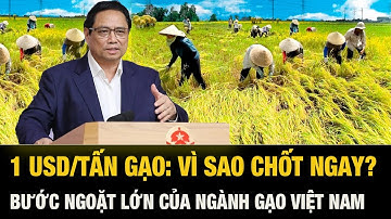 Vì sao thời điểm này Thủ tướng phải chốt ‘1 USD/tấn gạo’? Câu trả lời khiến nhiều người SỬNG SỐT!