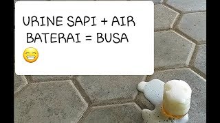 TEST SAPI HAMIL !!! DENGAN AIR BATERAI MITOS ATAU FAKTA.