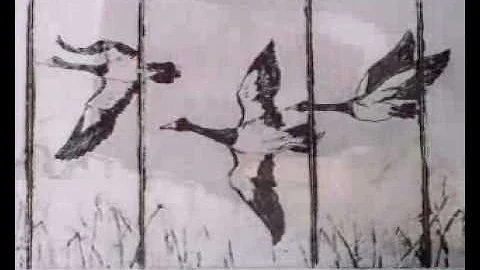 Valerie McIntosh - Maryborough Artist