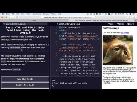 Make Dead Links Using the Hash Symbol | freecodecamp