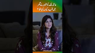 The Rise & Fall of PTI’s Star Voice 🎤✨ | Ayla Malik’s Political Journey 🏛️ #AylaMalik Information