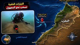 هل نسبح في شاطئ مهدية؟ وهل المحيط يمنع فيه السباحة؟ الحقيقة التي يجب أن تعرفها