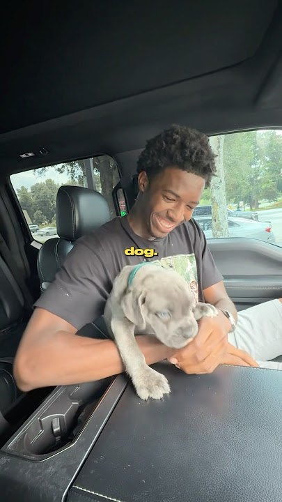 Adopting a Puppy Gone Wrong…