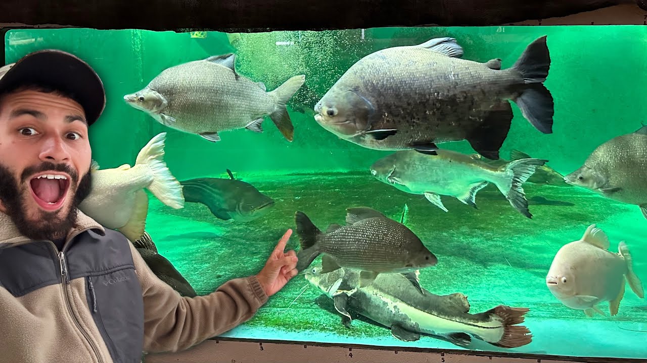 Fish Collectability I Found The RAREST FISH Collection!? - YouTube